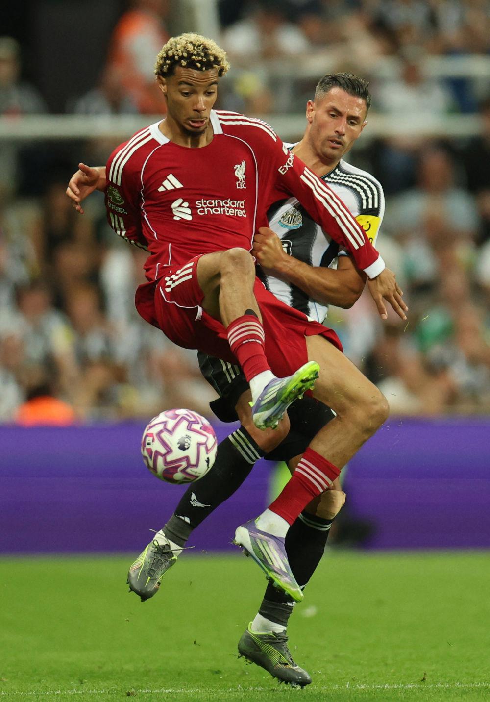 球盟会官网-今晨利物浦强势反弹国际比赛日广东宏远豪取连胜，今夜纽约尼克斯调整名单以备法国杯瞬间刷屏(广东宏远录像全场回放免费)